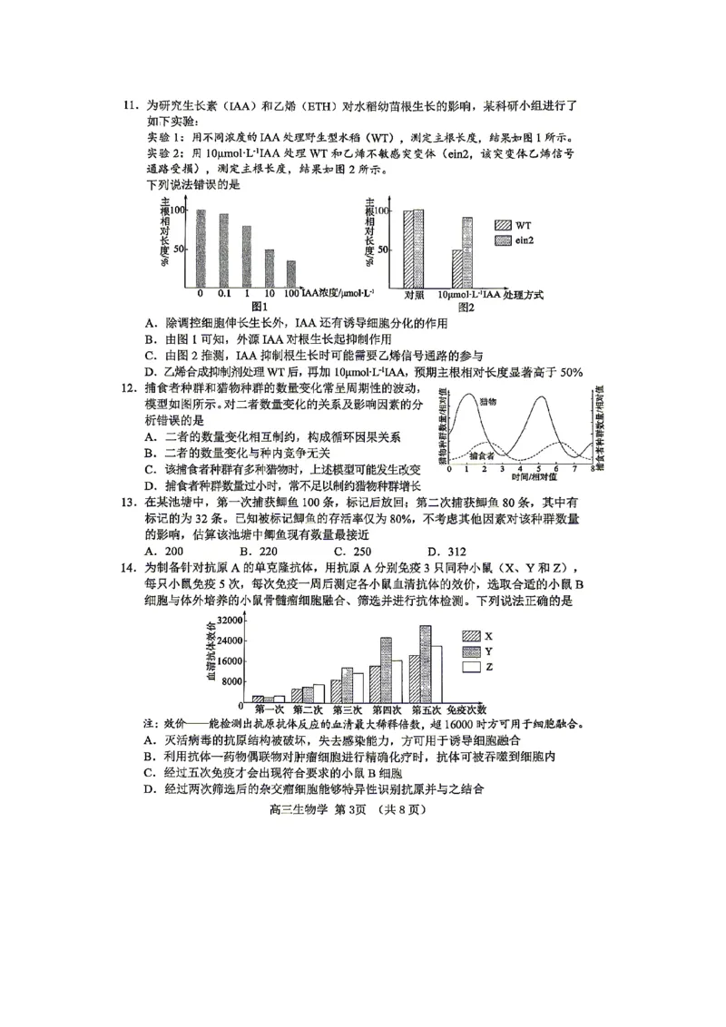 《2025-2026学年度高三教学质量阶段性检测生物_2024-2027高三(6-6月题库)_2026年05月高三试卷_260515山东省淄博市2025-2026学年度高三教学质量阶段性检测(淄博二模)(全科)》第3页预览