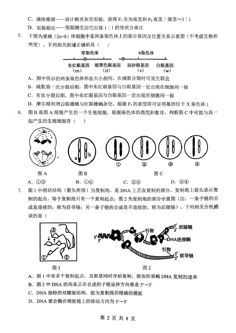 《生物学试题_2024-2027高一（7-7月题库）(1)_2026年06月高一试卷_260607湖北十堰市郧阳中学、恩施高中2025-2026学年高一下学期5月期中》第2页预览