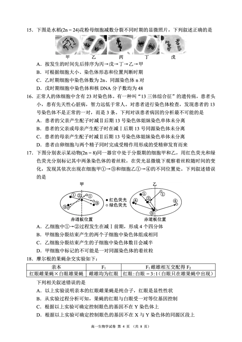 《蓉城名校联盟2025-2026学年高一下学期期中考试生物_2024-2027高一（7-7月题库）(1)_2026年05月高一试卷_260506四川省蓉城名校联盟2025-2026学年高一下学期期中考试（全）》第4页预览