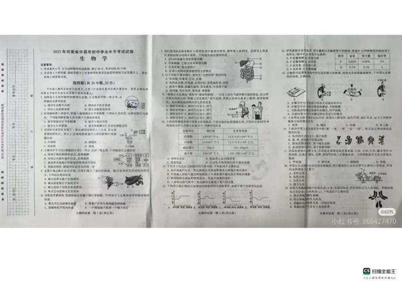 《2025年河南省许昌市生物中考真题原卷_12.2026年4月全国各地高考模拟卷_2026版初中金考卷•45套中考试卷汇编系列合集_全国版中考真题_2025年全国中考真题答案（按省市分类）(10)_河南省》第1页预览