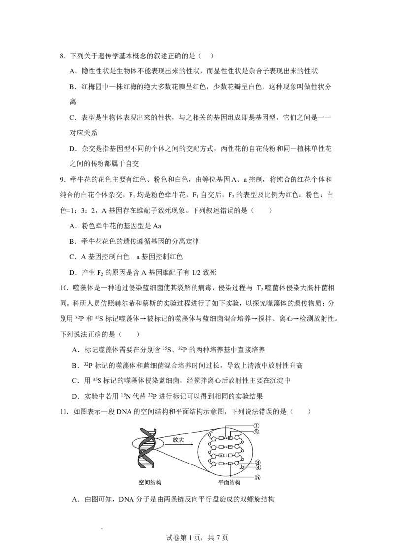《生物试题_2024-2027高一（7-7月题库）(1)_2026年06月高一试卷_260610宁夏回族自治区石嘴山市第一中学2025-2026学年高一年级下学期5月阶段检测》第3页预览
