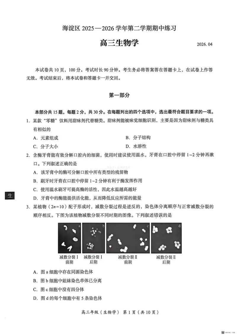 《2026北京海淀高三一模生物（含答案）_副本_12.2026年4月全国各地高考模拟卷_2026年4月_2026年北京市海淀区高三一模_06生物_北京市海淀区高三一模》第1页预览