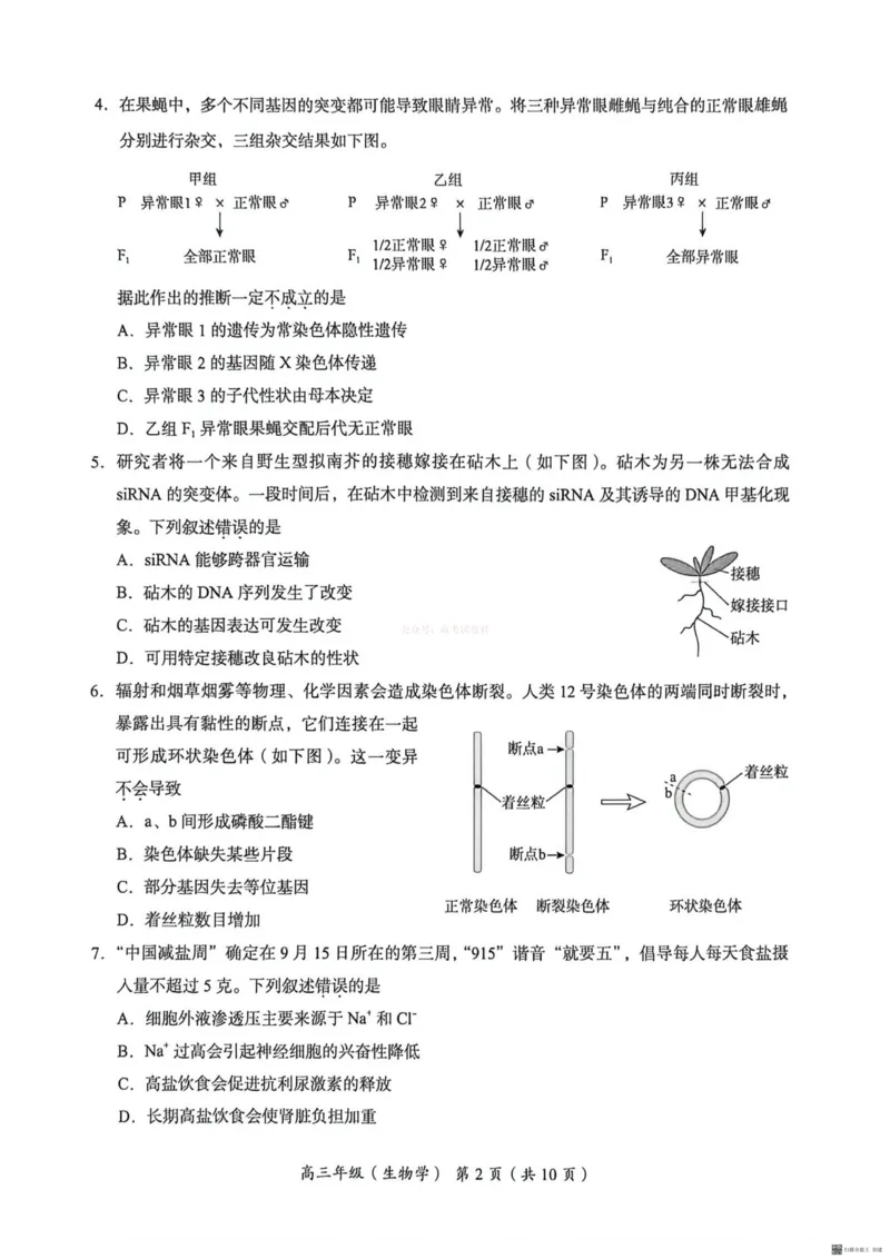 《2026北京海淀高三一模生物（含答案）_副本_12.2026年4月全国各地高考模拟卷_2026年4月_2026年北京市海淀区高三一模_06生物_北京市海淀区高三一模》第2页预览