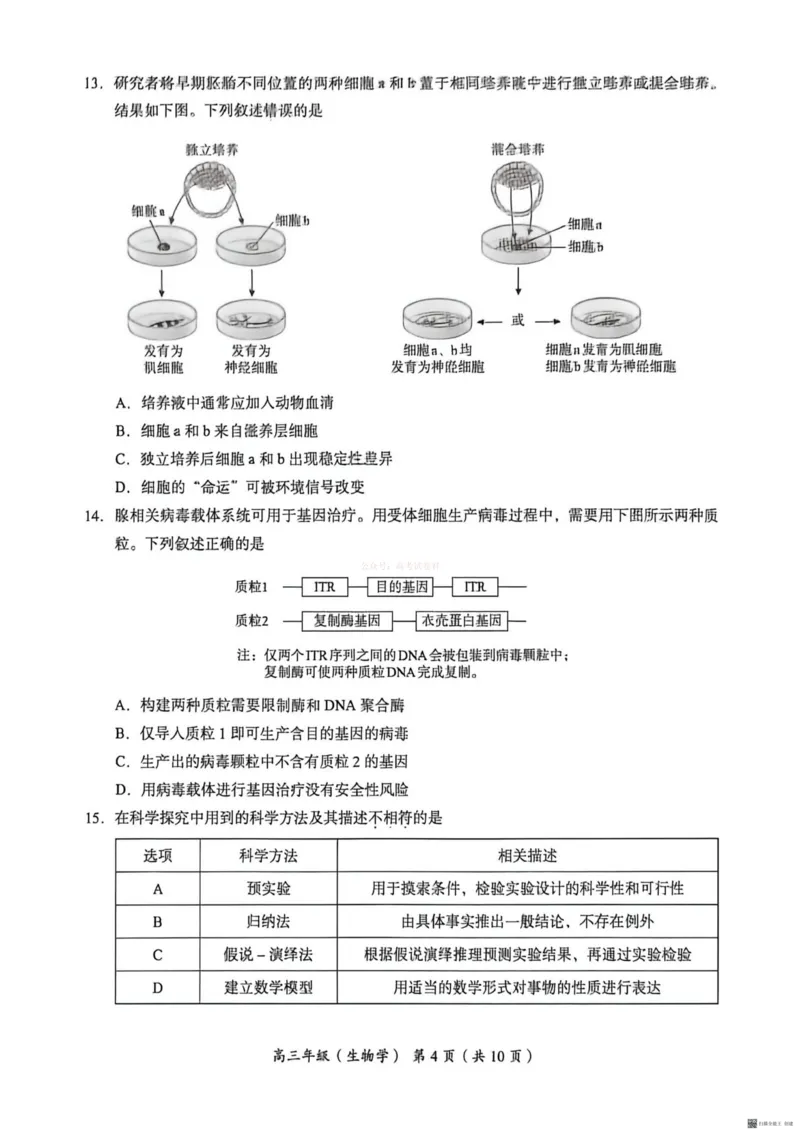 《2026北京海淀高三一模生物（含答案）_副本_12.2026年4月全国各地高考模拟卷_2026年4月_2026年北京市海淀区高三一模_06生物_北京市海淀区高三一模》第4页预览