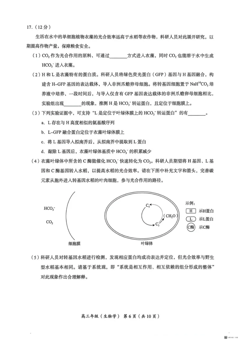 《2026北京海淀高三一模生物（含答案）_副本_12.2026年4月全国各地高考模拟卷_2026年4月_2026年北京市海淀区高三一模_06生物_北京市海淀区高三一模》第6页预览