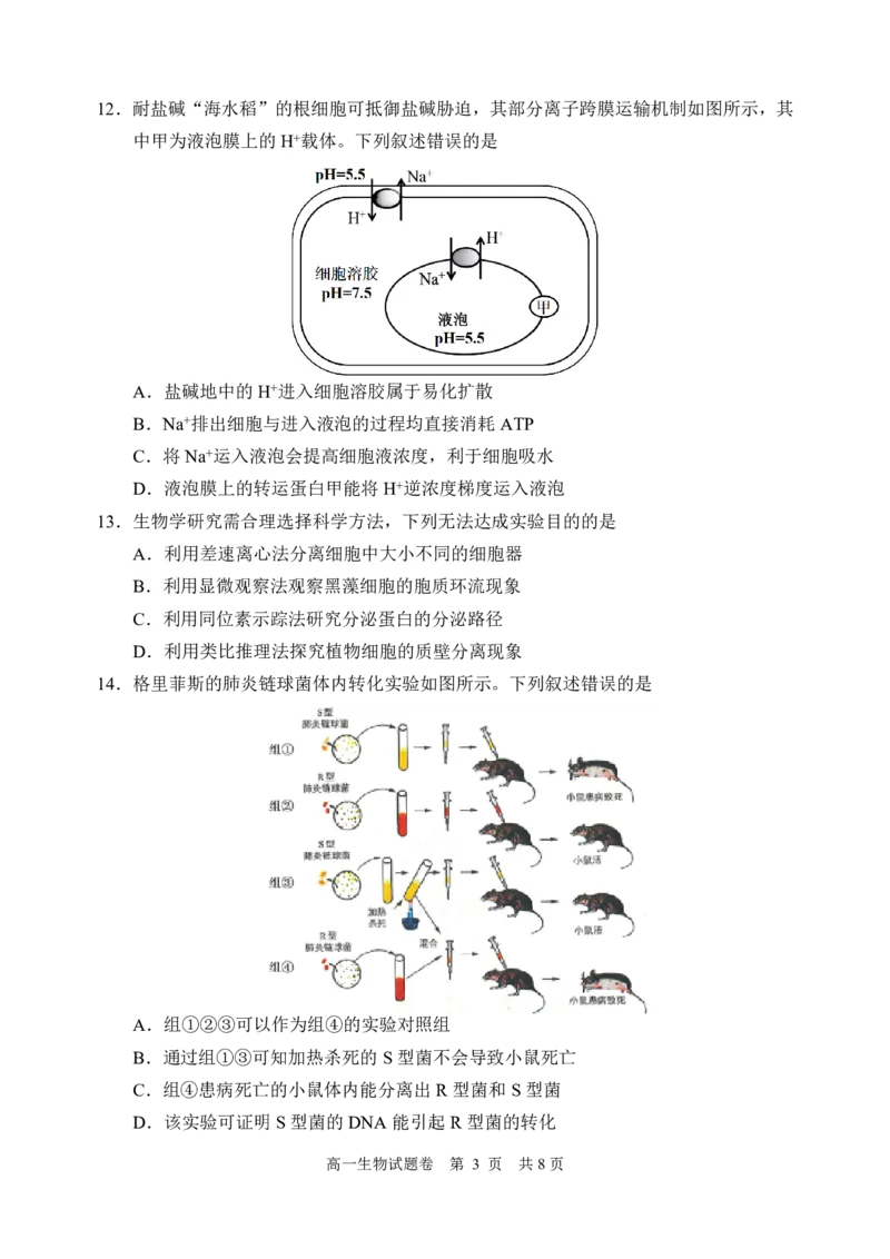 《生物_2024-2027高一（7-7月题库）(1)_2026年06月高一试卷_260627浙江省丽水市2025-2026学年高一下学期6月期末教学质量监控（全）》第3页预览