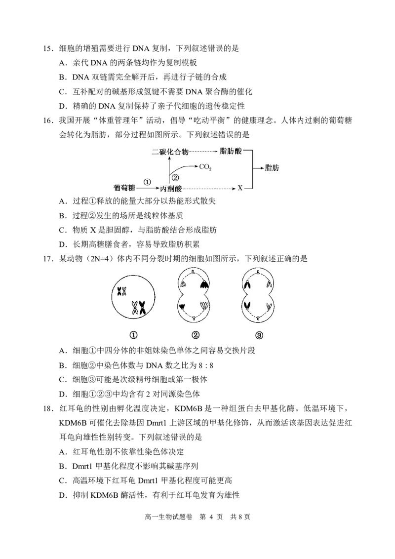 《生物_2024-2027高一（7-7月题库）(1)_2026年06月高一试卷_260627浙江省丽水市2025-2026学年高一下学期6月期末教学质量监控（全）》第4页预览