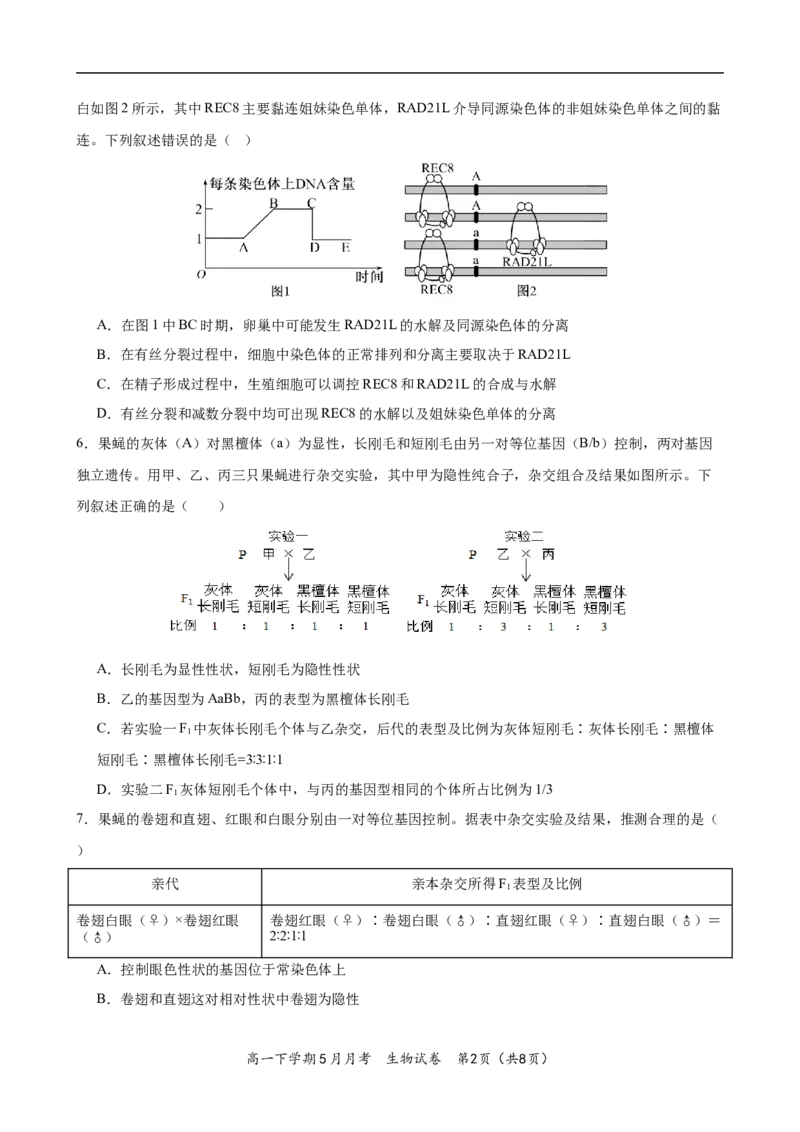《湖北荆州中学2025-2026学年高一下学期5月月考生物试卷_2024-2027高一（7-7月题库）(1)_2026年06月高一试卷_260606湖北省荆州中学2025-2026学年高一下学期5月月考（全）》第2页预览
