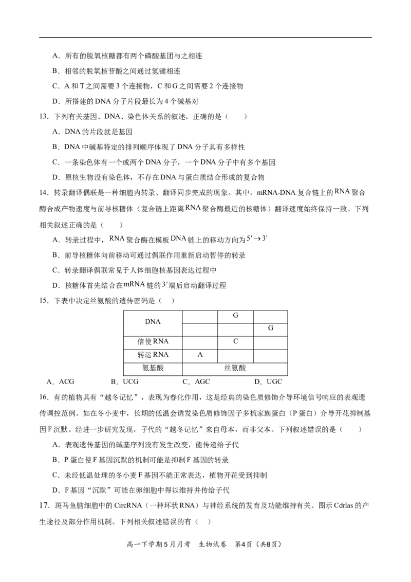 《湖北荆州中学2025-2026学年高一下学期5月月考生物试卷_2024-2027高一（7-7月题库）(1)_2026年06月高一试卷_260606湖北省荆州中学2025-2026学年高一下学期5月月考（全）》第4页预览