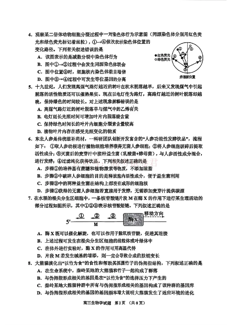 《2026届吉林地区2025（含答案）2026高三下第三次调研测试生物（含答案）_副本_12.2026年4月全国各地高考模拟卷_2026年4月_2026届吉林地区高三下第三次调研测试(吉林三调)全科》第2页预览