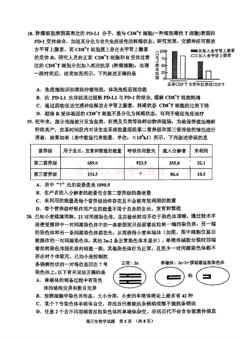 《2026届吉林地区2025（含答案）2026高三下第三次调研测试生物（含答案）_副本_12.2026年4月全国各地高考模拟卷_2026年4月_2026届吉林地区高三下第三次调研测试(吉林三调)全科》第5页预览