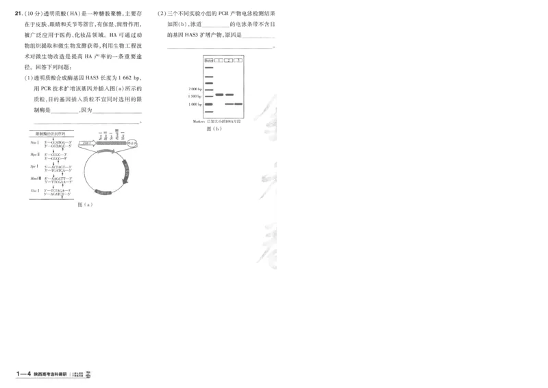 《2025《金考卷·特快专递·第4期》生物-A4_2024-2027高三（6-6月题库）_2025年01月试卷_01012025《金考卷·特快专递·第4期》_生物》第8页预览