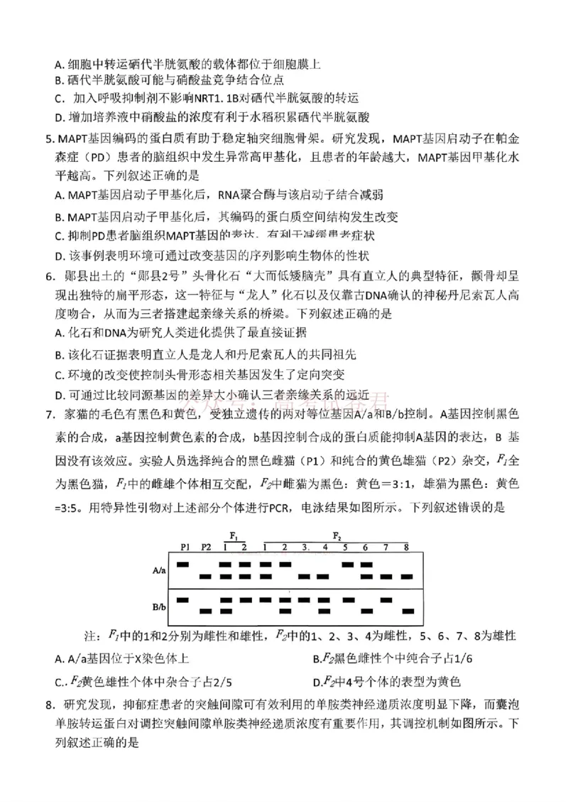 《2026届百师联盟高三二轮复习联考（一）生物_2026届百师联盟高三二轮复习联考（一）全科_06生物_百师联盟高三二轮复习联考（一）》第2页预览