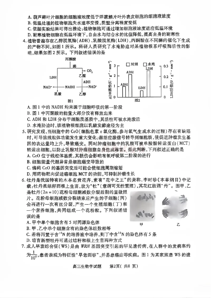 《2025年河南省五市高三第二次联考生物含答案_副本_12.2026年4月全国各地高考模拟卷_2026年4月_2025届河南省五市高三第二次联考全科_06生物_2025届河南省五市高三第二次联考》第2页预览