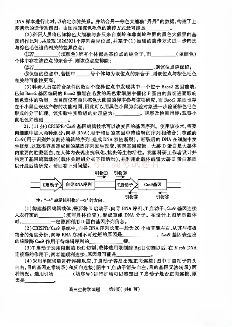 《2025年河南省五市高三第二次联考生物含答案_副本_12.2026年4月全国各地高考模拟卷_2026年4月_2025届河南省五市高三第二次联考全科_06生物_2025届河南省五市高三第二次联考》第8页预览