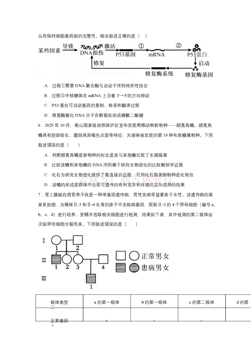 《2025-2026学年度高三年级下学期综合素质评价三生物试卷_12.2026年4月全国各地高考模拟卷_2026年4月_2026年河北省衡水中学高三下学期综合素质评价三》第2页预览