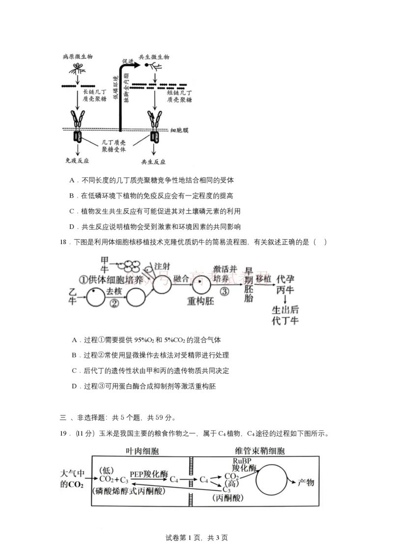 《2025-2026学年度高三年级下学期综合素质评价三生物试卷_12.2026年4月全国各地高考模拟卷_2026年4月_2026年河北省衡水中学高三下学期综合素质评价三》第8页预览