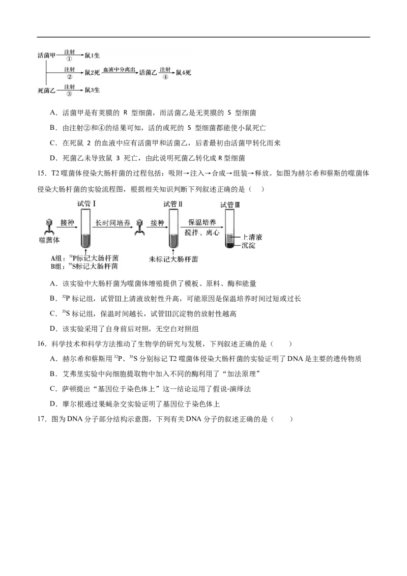 《福建省厦泉五校2025-2026学年高一下学期期中联考生物试卷（含答案）_2024-2027高一（7-7月题库）(1)_2026年05月高一试卷_260530福建省厦泉五校2025-2026学年高一下学期期中联考》第4页预览