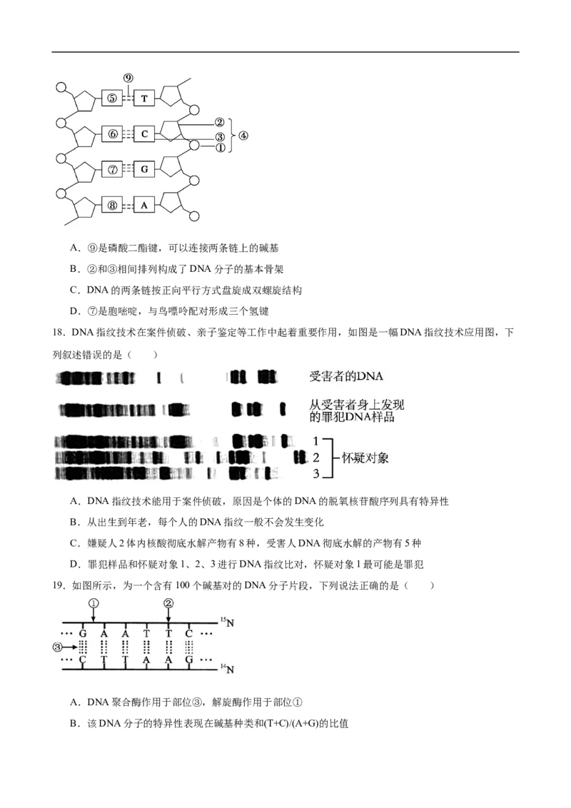 《福建省厦泉五校2025-2026学年高一下学期期中联考生物试卷（含答案）_2024-2027高一（7-7月题库）(1)_2026年05月高一试卷_260530福建省厦泉五校2025-2026学年高一下学期期中联考》第5页预览