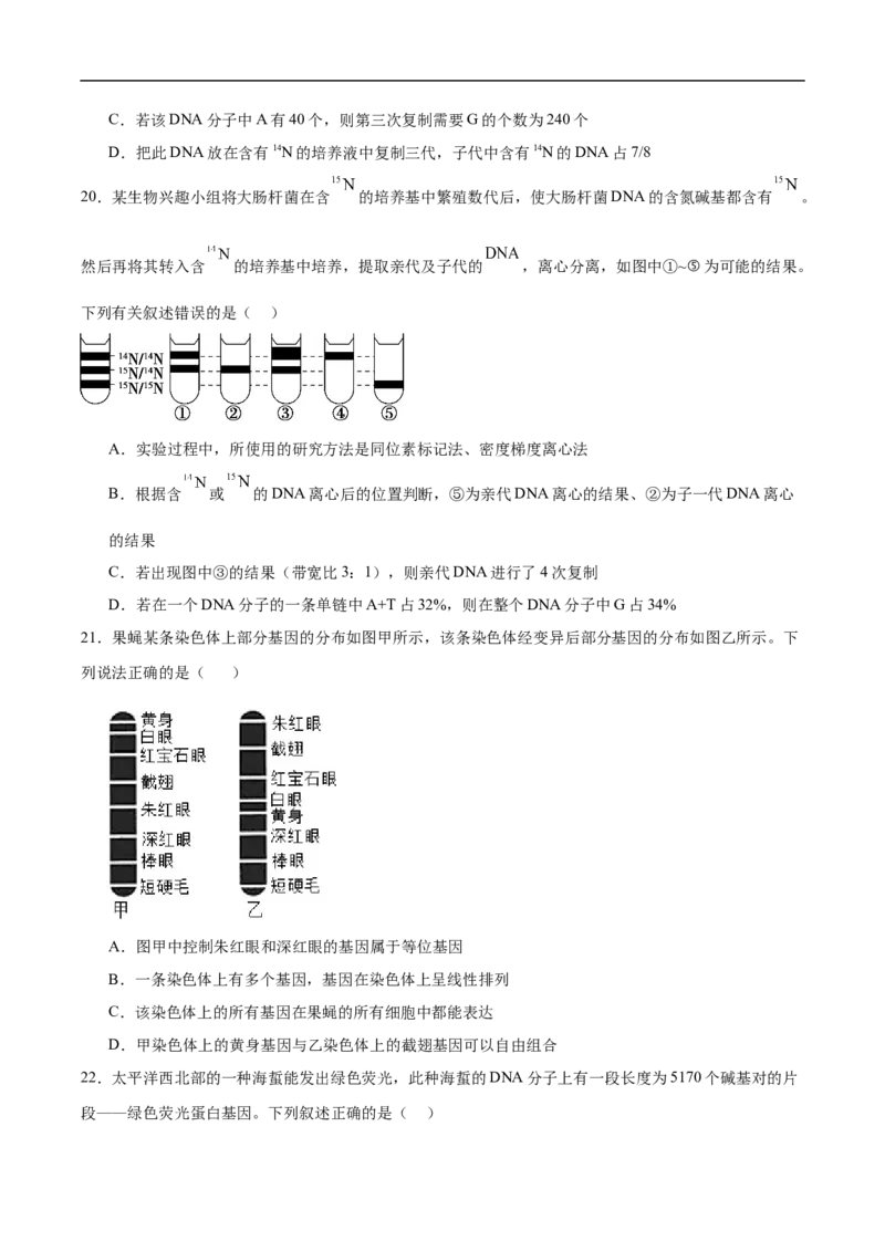 《福建省厦泉五校2025-2026学年高一下学期期中联考生物试卷（含答案）_2024-2027高一（7-7月题库）(1)_2026年05月高一试卷_260530福建省厦泉五校2025-2026学年高一下学期期中联考》第6页预览