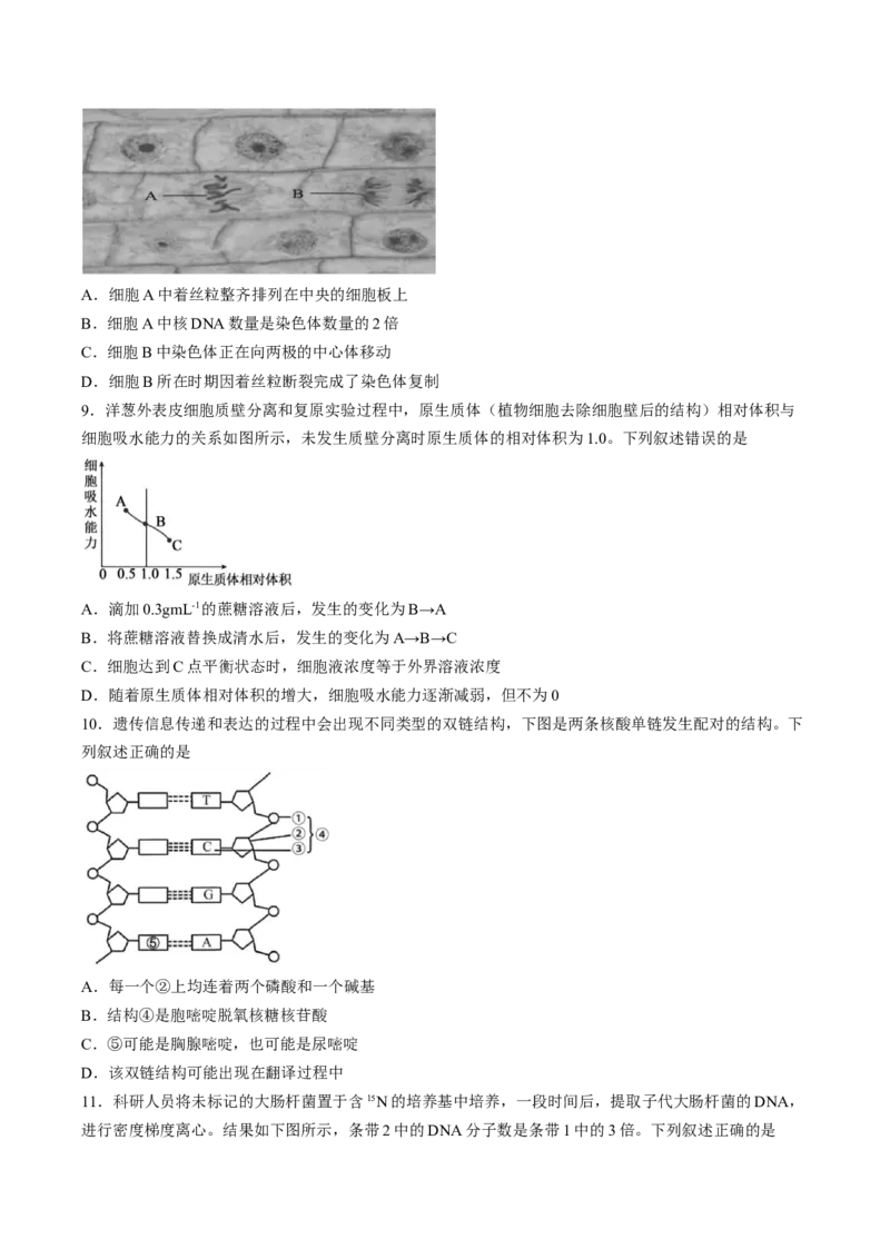 《试卷浙江省浙东北联盟2025-2026学年高一下学期5月期中生物试题_2024-2027高一（7-7月题库）(1)_2026年05月高一试卷_260516浙江省浙东北联盟2025-2026学年高一下学期5月期中考试（全）》第3页预览