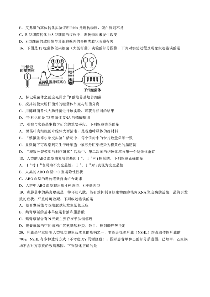 《试卷浙江省浙东北联盟2025-2026学年高一下学期5月期中生物试题_2024-2027高一（7-7月题库）(1)_2026年05月高一试卷_260516浙江省浙东北联盟2025-2026学年高一下学期5月期中考试（全）》第5页预览