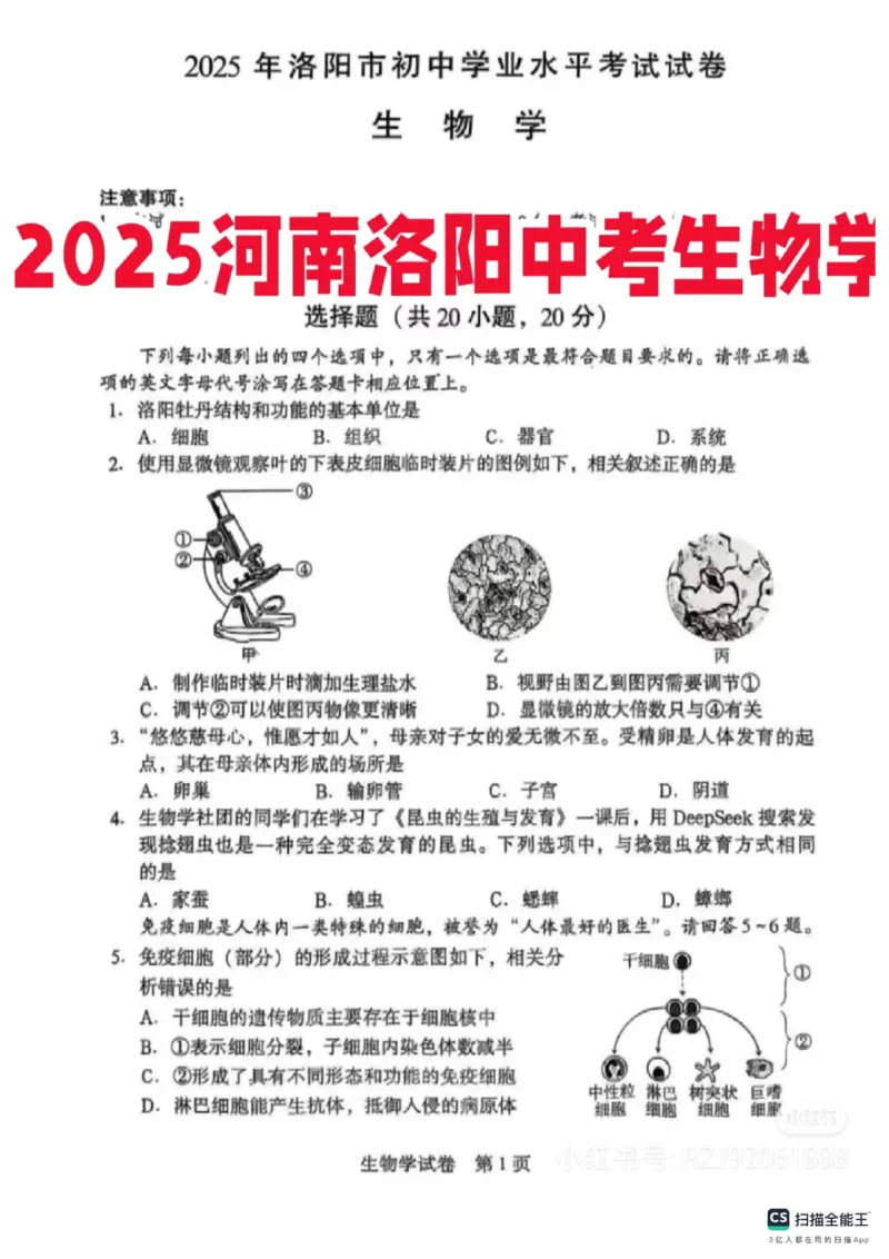 《2025年河南省洛阳市中考生物真题及答案_12.2026年4月全国各地高考模拟卷_2026版初中金考卷•45套中考试卷汇编系列合集_全国版中考真题_2025年全国中考真题答案（按省市分类）(10)_河南省》第1页预览
