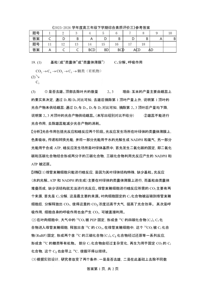 《2025-2026学年度高三年级下学期综合素质评价三生物答案_12.2026年4月全国各地高考模拟卷_2026年4月_2026年河北省衡水中学高三下学期综合素质评价三》第1页预览