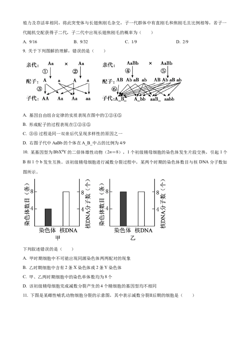 《湖北省部分省级示范高中2025-2026学年下学期中测试高一生物试卷（原卷版）_2024-2027高一（7-7月题库）(1)_2026年05月高一试卷》第3页预览