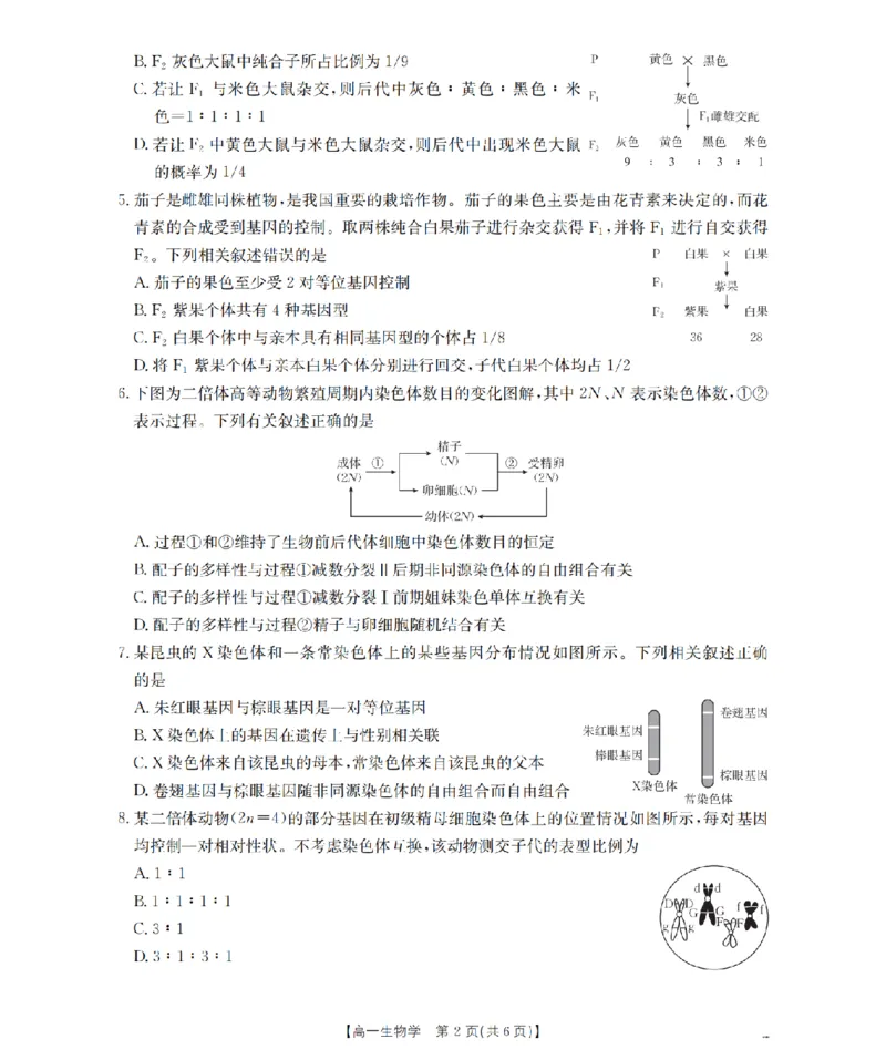 《生物_扫描版_2024-2027高一（7-7月题库）(1)_2026年05月高一试卷_260517福建省漳州市2025-2026学年高一下学期期中考（全）》第2页预览