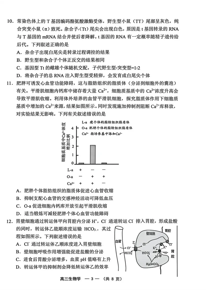 《2025-2026学年福州市高三年级五月质量检测生物_2024-2027高三（6-6月题库）_2026年05月高三试卷_260515福建省2025-2026学年福州市高三年级五月质量检测（全科）》第3页预览