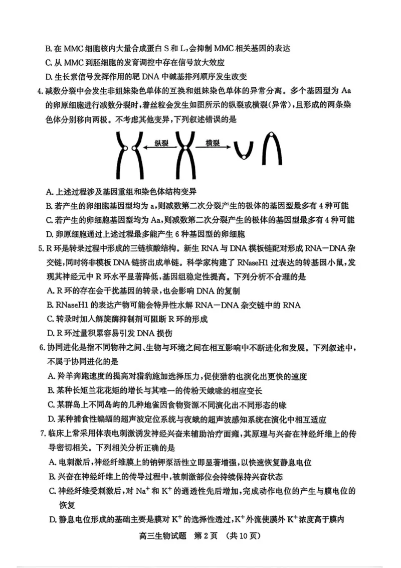 《2026届山东济南市高三下学期考前针对性训练生物试题（含答案）_2024-2027高三（6-6月题库）_2026年05月高三试卷_260516山东省济南市2026届高三年级针对性训练（全科）》第2页预览