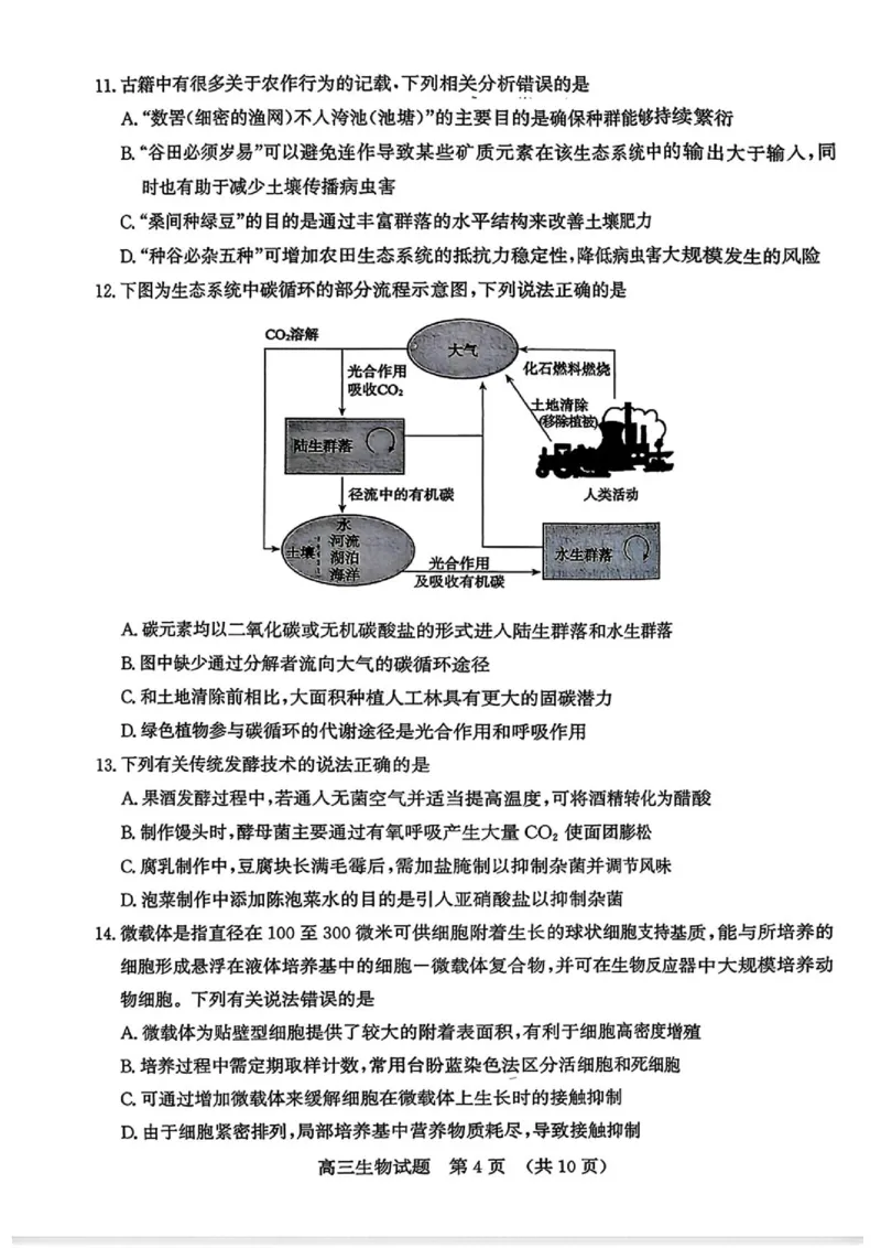 《2026届山东济南市高三下学期考前针对性训练生物试题（含答案）_2024-2027高三（6-6月题库）_2026年05月高三试卷_260516山东省济南市2026届高三年级针对性训练（全科）》第4页预览