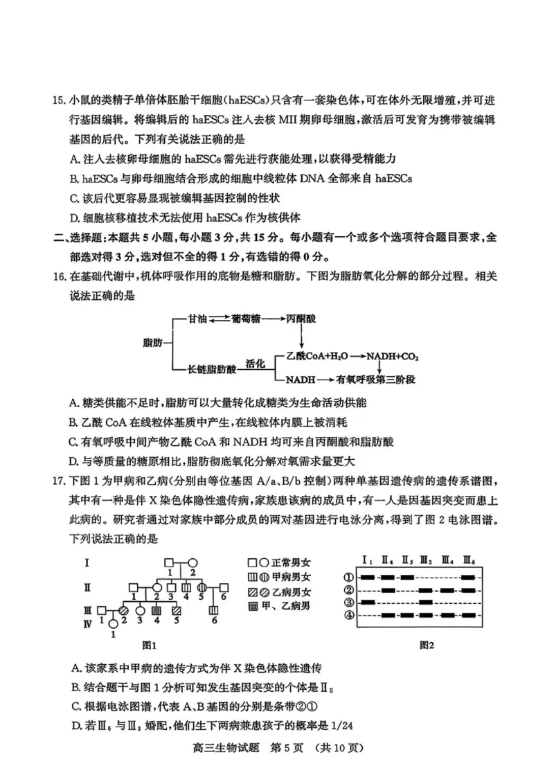 《2026届山东济南市高三下学期考前针对性训练生物试题（含答案）_2024-2027高三（6-6月题库）_2026年05月高三试卷_260516山东省济南市2026届高三年级针对性训练（全科）》第5页预览