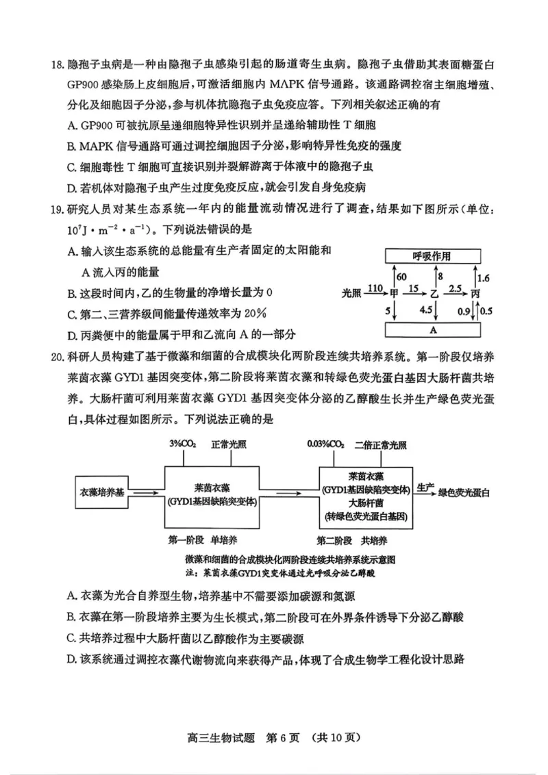 《2026届山东济南市高三下学期考前针对性训练生物试题（含答案）_2024-2027高三（6-6月题库）_2026年05月高三试卷_260516山东省济南市2026届高三年级针对性训练（全科）》第6页预览