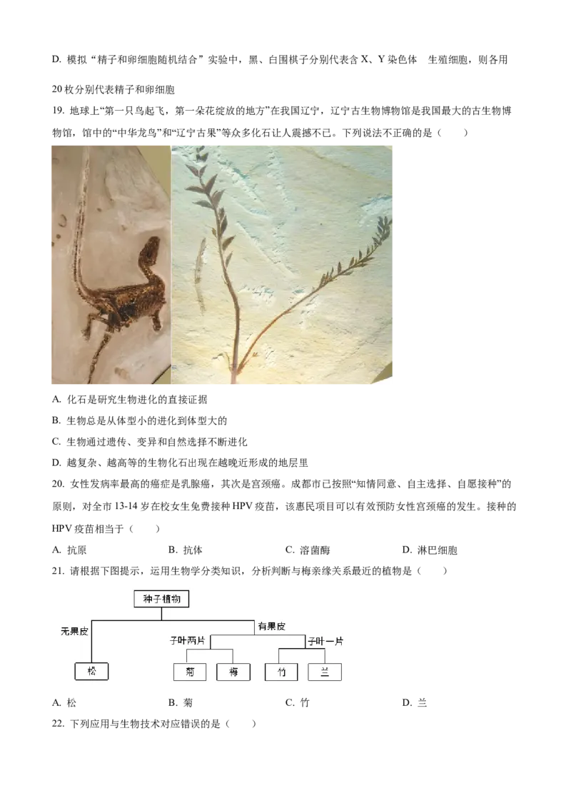 《2024年四川省凉山州中考生物真题（原卷版）_12.2026年4月全国各地高考模拟卷_2026版初中金考卷•45套中考试卷汇编系列合集_全国版中考真题(1)_各省市《历年中考真题》2013-2024(10)》第6页预览