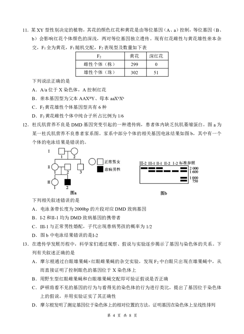 《高一5月生物试卷520-副本_2024-2027高一（7-7月题库）(1)_2026年06月高一试卷_260604湖北省云学联盟2025-2026学年高一下学期5月学科素养测评试题（全)》第4页预览