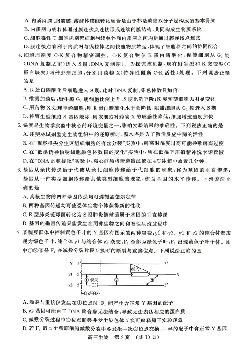 《2026届山东东营市胜利第二中学等校高三4月核心素养评估生物试题2026届山东东营市胜利第二中学等校高三4月核心素养评估生物试题_12.2026年4月全国各地高考模拟卷》第2页预览
