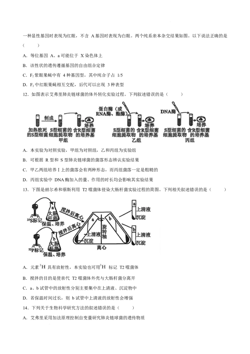 《辽宁省鞍山市普通高中2025-2026学年高一下学期5月期中学情调研试题生物Word版含答案_2024-2027高一（7-7月题库）(1)_2026年06月高一试卷》第4页预览