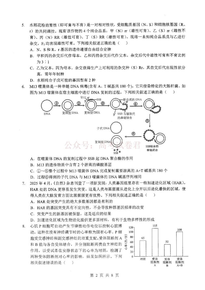 《2026届湖北新八校4月检测-生物_12.2026年4月全国各地高考模拟卷_2026年4月_湖北新八校二模4月2026年湖北省新八校高三4月联考（二模）全科》第2页预览