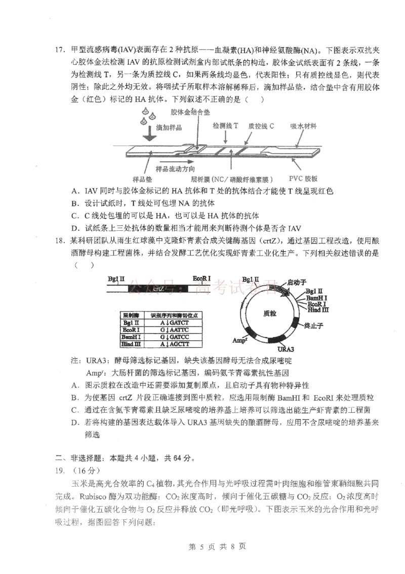《2026届湖北新八校4月检测-生物_12.2026年4月全国各地高考模拟卷_2026年4月_湖北新八校二模4月2026年湖北省新八校高三4月联考（二模）全科》第5页预览