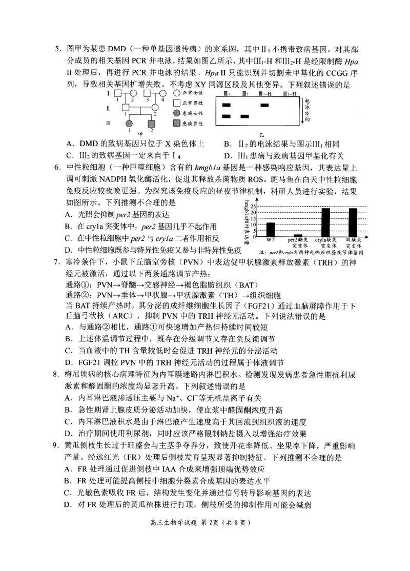 《2023级高三模拟考试生物_2024-2027高三（6-6月题库）_2026年05月高三试卷_260502山东省日照市2023级高三模拟考试（日照二模）（全科）》第2页预览