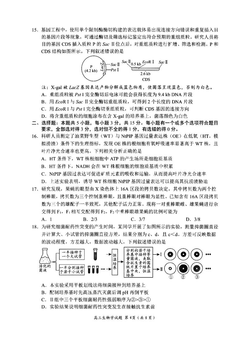 《2023级高三模拟考试生物_2024-2027高三（6-6月题库）_2026年05月高三试卷_260502山东省日照市2023级高三模拟考试（日照二模）（全科）》第4页预览