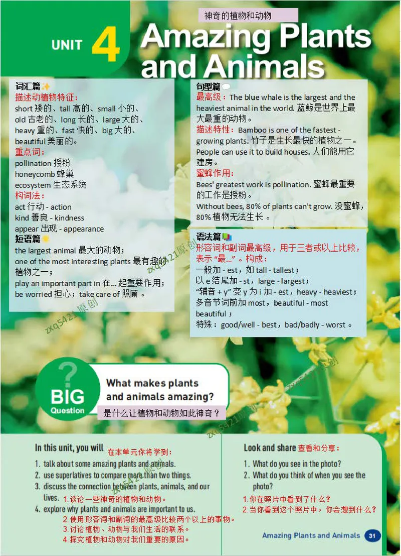 《课堂笔记Unit4AmazingPiantsandAnimals(1)_初中英语789_最新人教版英语八年级上册_新版_最新2025秋人教版英语（八年级上册）_2025秋人教版英语8上：预习资料包_12课堂笔记（pdf）（多套）》第1页预览