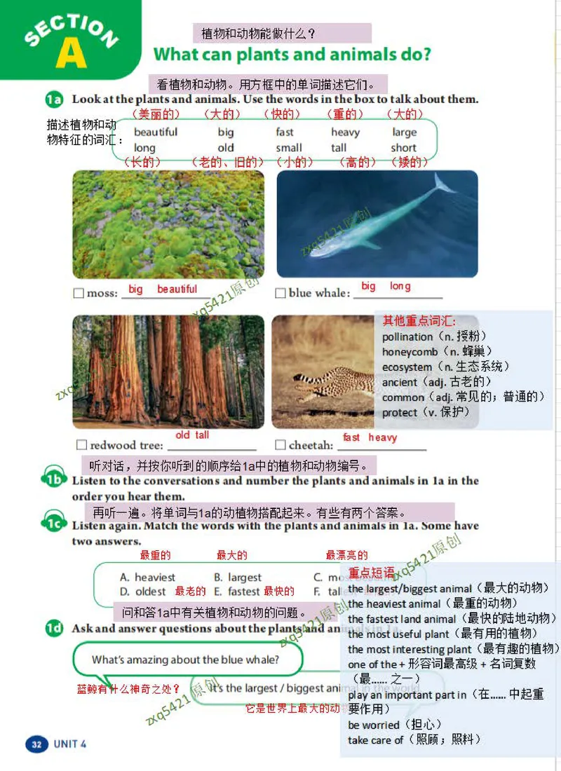《课堂笔记Unit4AmazingPiantsandAnimals(1)_初中英语789_最新人教版英语八年级上册_新版_最新2025秋人教版英语（八年级上册）_2025秋人教版英语8上：预习资料包_12课堂笔记（pdf）（多套）》第2页预览