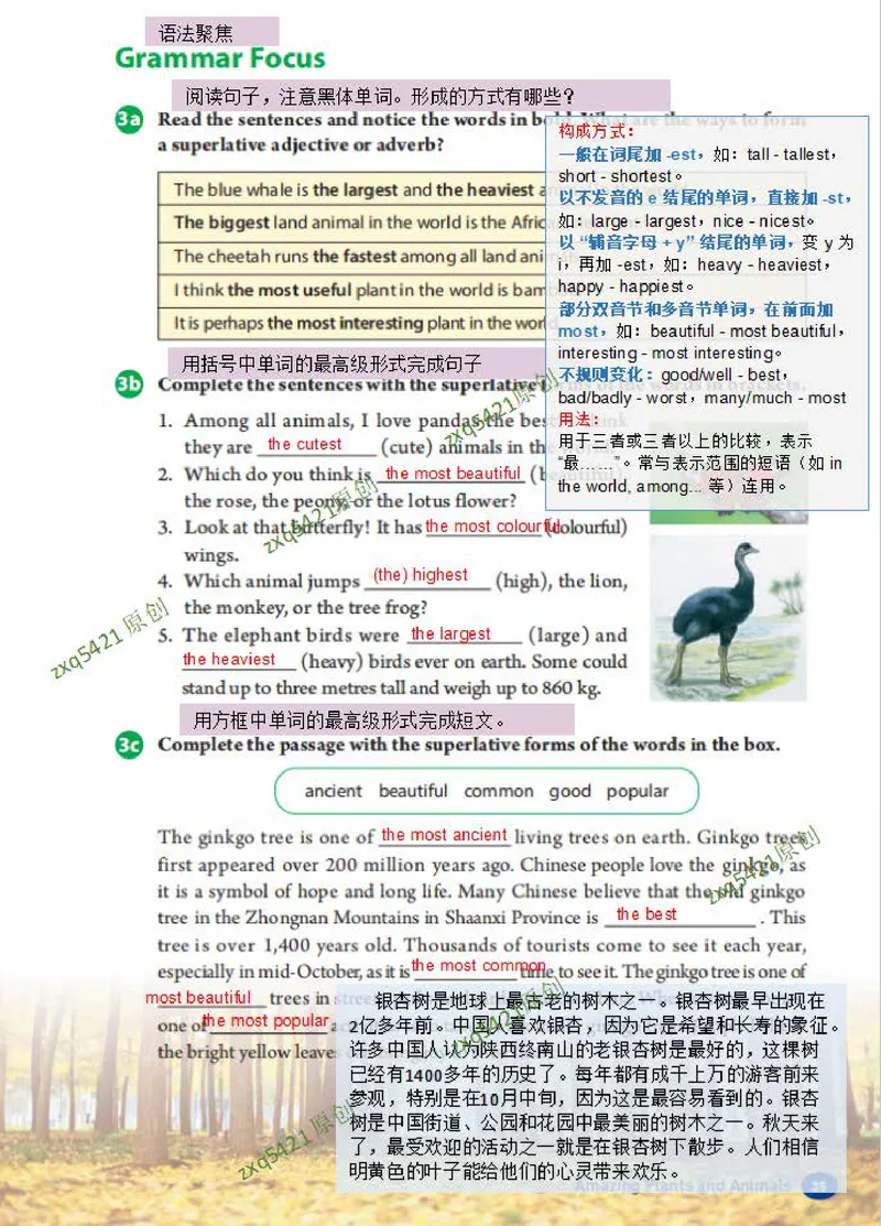 《课堂笔记Unit4AmazingPiantsandAnimals(1)_初中英语789_最新人教版英语八年级上册_新版_最新2025秋人教版英语（八年级上册）_2025秋人教版英语8上：预习资料包_12课堂笔记（pdf）（多套）》第5页预览