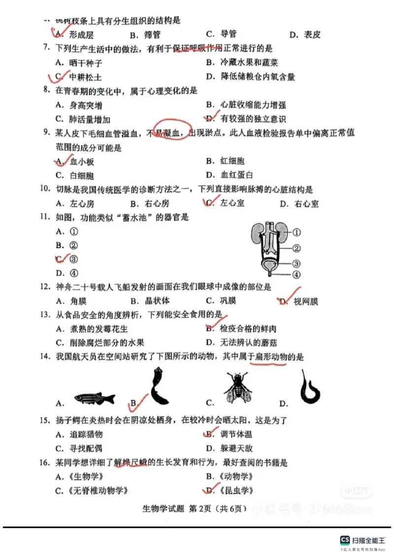《2025年湖南省中考生物真题_12.2026年4月全国各地高考模拟卷_2026版初中金考卷•45套中考试卷汇编系列合集_全国版中考真题(1)_2025年全国中考真题答案（按省市分类）(10)_湖南省》第2页预览