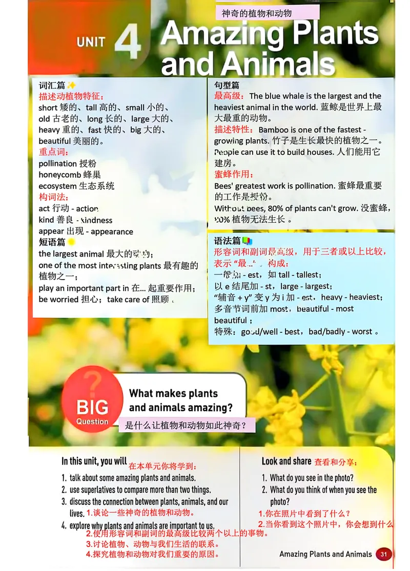 《课堂笔记Unit4AmazingPiantsandAnimals_初中英语789_最新人教版英语八年级上册_新版_初中英语8上新更新第三套可选择_07课堂笔记_课堂笔记》第1页预览
