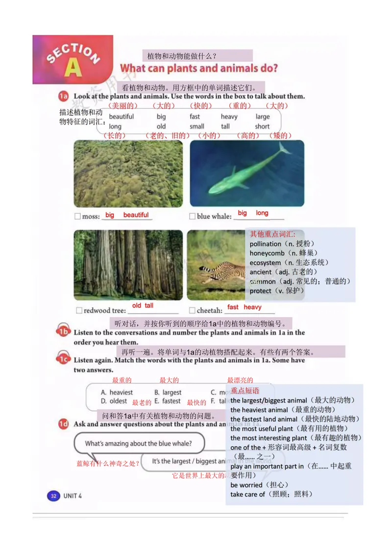 《课堂笔记Unit4AmazingPiantsandAnimals_初中英语789_最新人教版英语八年级上册_新版_初中英语8上新更新第三套可选择_07课堂笔记_课堂笔记》第2页预览