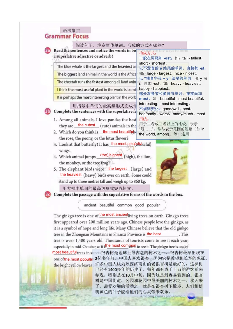《课堂笔记Unit4AmazingPiantsandAnimals_初中英语789_最新人教版英语八年级上册_新版_初中英语8上新更新第三套可选择_07课堂笔记_课堂笔记》第5页预览